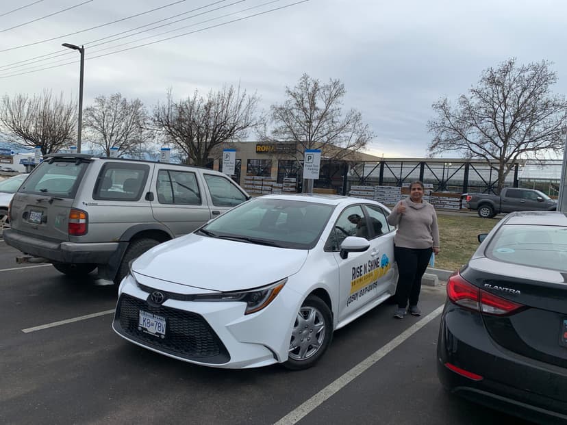 Professional driving school success